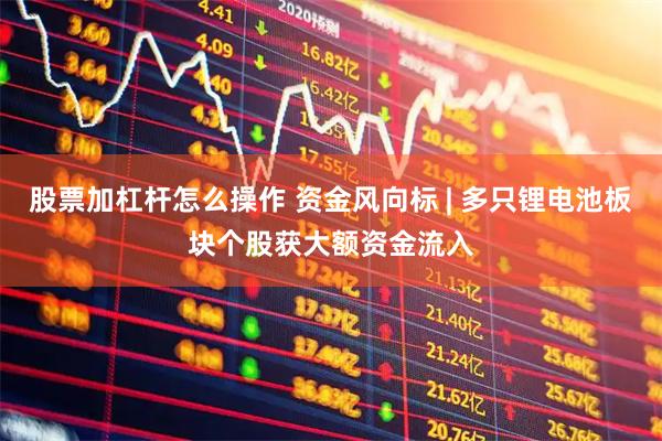 股票加杠杆怎么操作 资金风向标 | 多只锂电池板块个股获大额资金流入